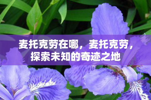 麦托克劳在哪,麦托克劳,探索未知的奇迹之地 麦托克劳在哪,麦托克劳,探索未知的奇迹之地