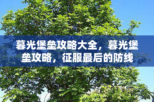 暮光堡垒攻略大全，暮光堡垒攻略，征服最后的防线