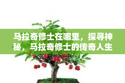 马拉奇修士在哪里,探寻神秘,马拉奇修士的传奇人生 马拉奇修士在哪里,探寻神秘,马拉奇修士的传奇人生