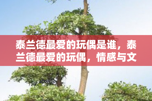 泰兰德最爱的玩偶是谁，泰兰德最爱的玩偶，情感与文化的交织