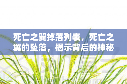 死亡之翼掉落列表，死亡之翼的坠落，揭示背后的神秘与真相