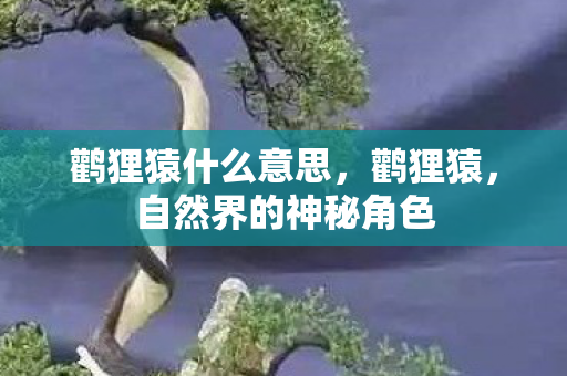 鹳狸猿什么意思，鹳狸猿，自然界的神秘角色