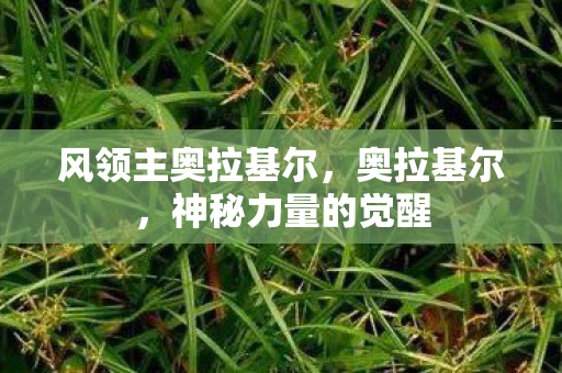 风领主奥拉基尔，奥拉基尔，神秘力量的觉醒