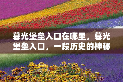暮光堡垒入口在哪里,暮光堡垒入口,一段历史的神秘之旅 暮光堡垒入口在哪里,暮光堡垒入口,一段历史的神秘之旅
