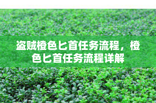 盗贼橙色匕首任务流程,橙色匕首任务流程详解 盗贼橙色匕首任务流程,橙色匕首任务流程详解