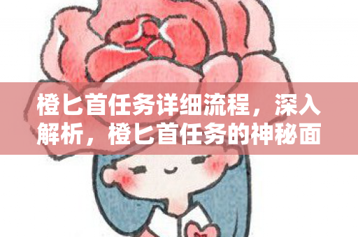 橙匕首任务详细流程，深入解析，橙匕首任务的神秘面纱