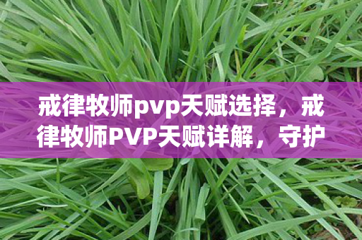 戒律牧师pvp天赋选择，戒律牧师PVP天赋详解，守护与治愈的双重角色