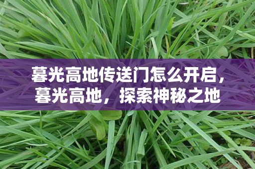 暮光高地传送门怎么开启,暮光高地,探索神秘之地 暮光高地传送门怎么开启,暮光高地,探索神秘之地