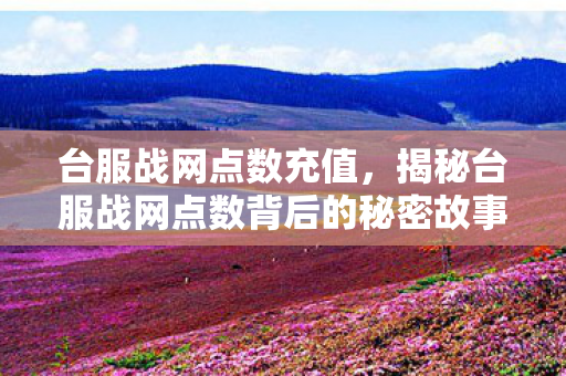 台服战网点数充值,揭秘台服战网点数背后的秘密故事 台服战网点数充值,揭秘台服战网点数背后的秘密故事