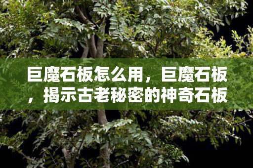 巨魔石板怎么用,巨魔石板,揭示古老秘密的神奇石板 巨魔石板怎么用,巨魔石板,揭示古老秘密的神奇石板