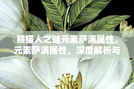 熊猫人之谜元素萨满属性,元素萨满属性,深度解析与策略应用 熊猫人之谜元素萨满属性,元素萨满属性,深度解析与策略应用
