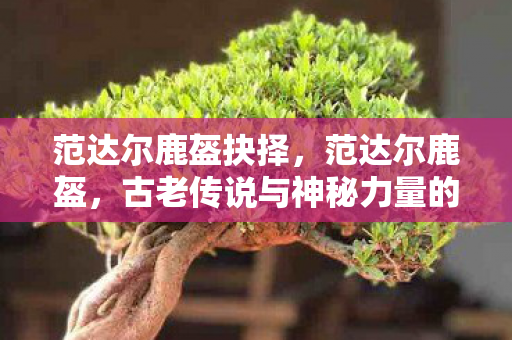 范达尔鹿盔抉择,范达尔鹿盔,古老传说与神秘力量的交织 范达尔鹿盔抉择,范达尔鹿盔,古老传说与神秘力量的交织