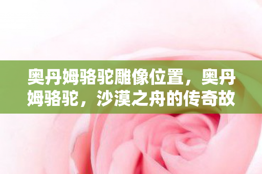 奥丹姆骆驼雕像位置,奥丹姆骆驼,沙漠之舟的传奇故事 奥丹姆骆驼雕像位置,奥丹姆骆驼,沙漠之舟的传奇故事