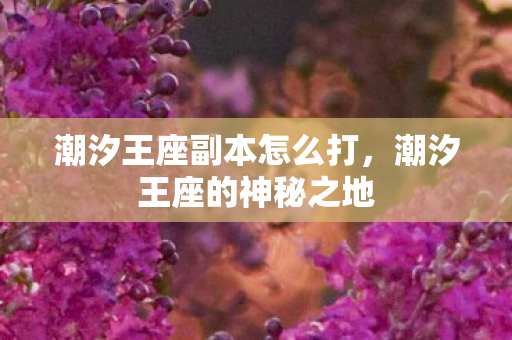 潮汐王座副本怎么打,潮汐王座的神秘之地 潮汐王座副本怎么打,潮汐王座的神秘之地