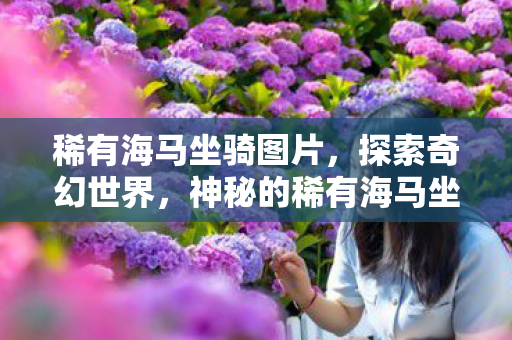 稀有海马坐骑图片,探索奇幻世界,神秘的稀有海马坐骑 稀有海马坐骑图片,探索奇幻世界,神秘的稀有海马坐骑