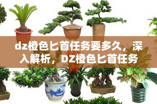 dz橙色匕首任务要多久，深入解析，DZ橙色匕首任务的全过程