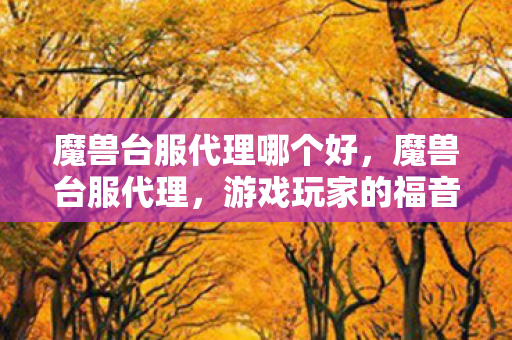 魔兽台服代理哪个好，魔兽台服代理，游戏玩家的福音还是挑战？