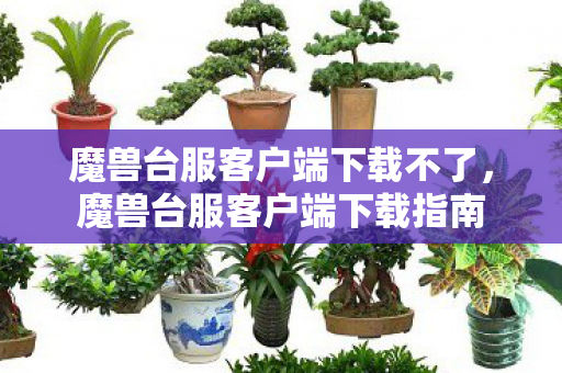 魔兽台服客户端下载不了，魔兽台服客户端下载指南