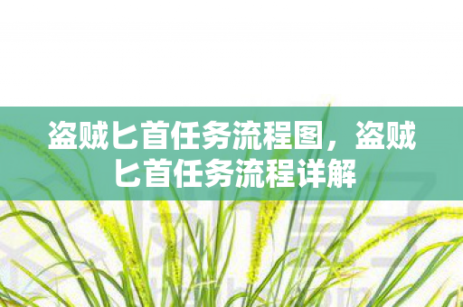 盗贼匕首任务流程图，盗贼匕首任务流程详解