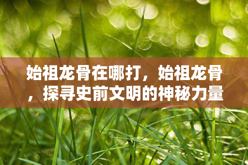 始祖龙骨在哪打,始祖龙骨,探寻史前文明的神秘力量 始祖龙骨在哪打,始祖龙骨,探寻史前文明的神秘力量