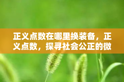 正义点数在哪里换装备,正义点数,探寻社会公正的微光 正义点数在哪里换装备,正义点数,探寻社会公正的微光