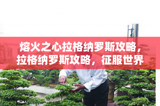 熔火之心拉格纳罗斯攻略,拉格纳罗斯攻略,征服世界之巅的秘诀 熔火之心拉格纳罗斯攻略,拉格纳罗斯攻略,征服世界之巅的秘诀