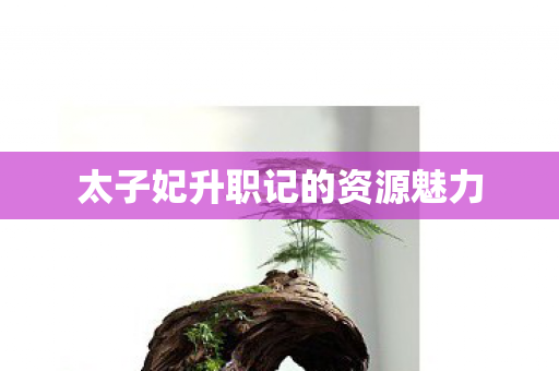 太子妃升职记的资源魅力 太子妃升职记的资源魅力