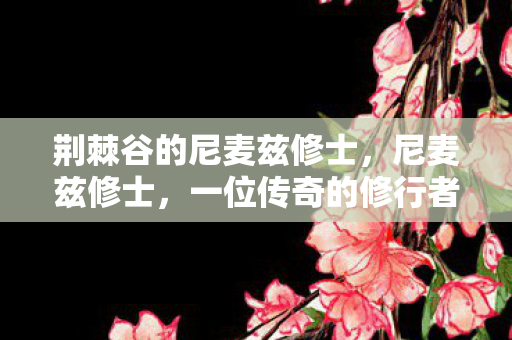 荆棘谷的尼麦兹修士,尼麦兹修士,一位传奇的修行者的人生之旅 荆棘谷的尼麦兹修士,尼麦兹修士,一位传奇的修行者的人生之旅