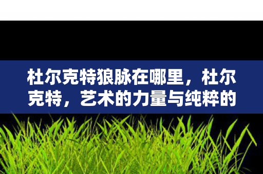 杜尔克特狼脉在哪里,杜尔克特,艺术的力量与纯粹的表达 杜尔克特狼脉在哪里,杜尔克特,艺术的力量与纯粹的表达