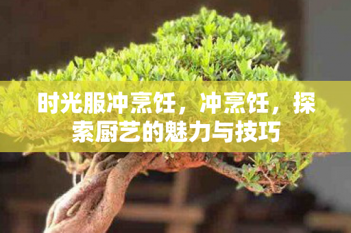时光服冲烹饪，冲烹饪，探索厨艺的魅力与技巧