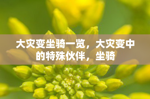大灾变坐骑一览,大灾变中的特殊伙伴,坐骑 大灾变坐骑一览,大灾变中的特殊伙伴,坐骑