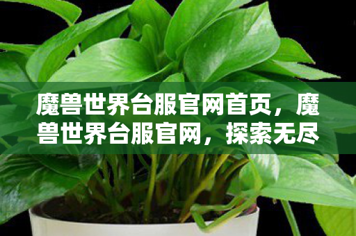 魔兽世界台服官网首页,魔兽世界台服官网,探索无尽的奇幻世界之旅 魔兽世界台服官网首页,魔兽世界台服官网,探索无尽的奇幻世界之旅