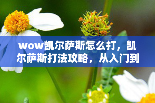 wow凯尔萨斯怎么打,凯尔萨斯打法攻略,从入门到精通 wow凯尔萨斯怎么打,凯尔萨斯打法攻略,从入门到精通