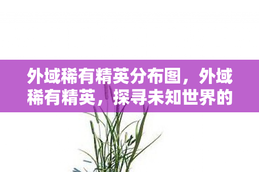 外域稀有精英分布图,外域稀有精英,探寻未知世界的神秘力量 外域稀有精英分布图,外域稀有精英,探寻未知世界的神秘力量