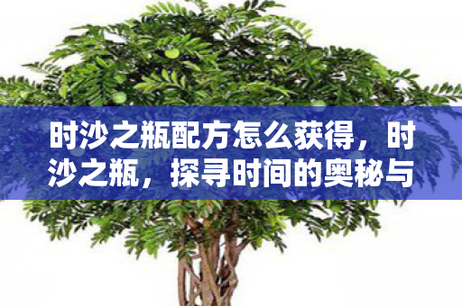 时沙之瓶配方怎么获得，时沙之瓶，探寻时间的奥秘与人生的意义