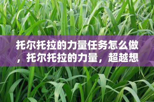 托尔托拉的力量任务怎么做，托尔托拉的力量，超越想象的神秘能量