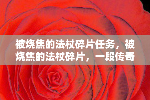 被烧焦的法杖碎片任务,被烧焦的法杖碎片,一段传奇故事的启示 被烧焦的法杖碎片任务,被烧焦的法杖碎片,一段传奇故事的启示