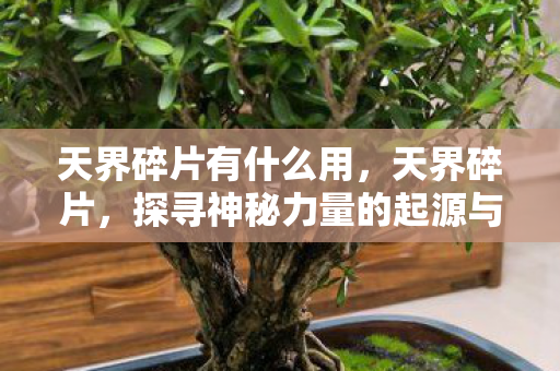 天界碎片有什么用,天界碎片,探寻神秘力量的起源与影响 天界碎片有什么用,天界碎片,探寻神秘力量的起源与影响