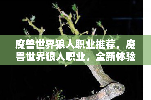 魔兽世界狼人职业推荐,魔兽世界狼人职业,全新体验与独特魅力 魔兽世界狼人职业推荐,魔兽世界狼人职业,全新体验与独特魅力