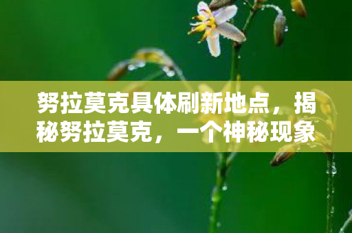 努拉莫克具体刷新地点，揭秘努拉莫克，一个神秘现象的背后故事