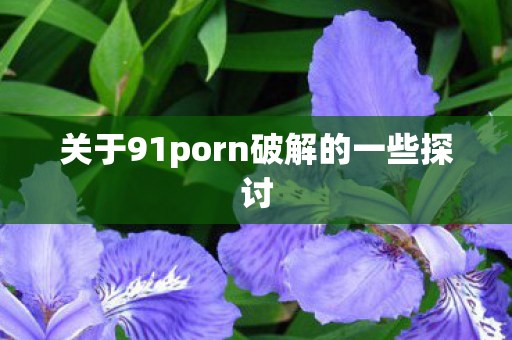 关于91porn破解的一些探讨 关于91porn破解的一些探讨