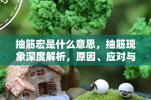 抽筋宏是什么意思,抽筋现象深度解析,原因、应对与预防策略 抽筋宏是什么意思,抽筋现象深度解析,原因、应对与预防策略
