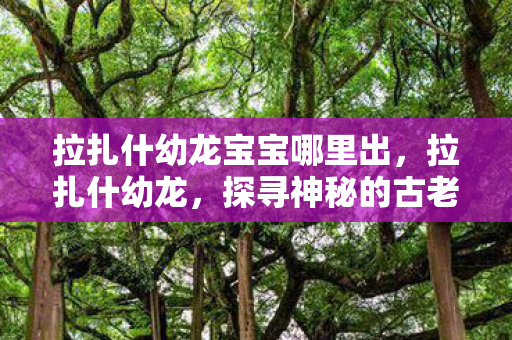 拉扎什幼龙宝宝哪里出,拉扎什幼龙,探寻神秘的古老生物 拉扎什幼龙宝宝哪里出,拉扎什幼龙,探寻神秘的古老生物
