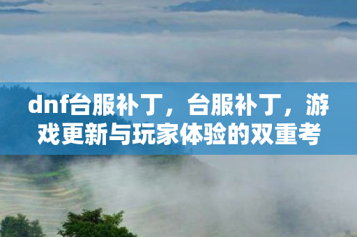 dnf台服补丁，台服补丁，游戏更新与玩家体验的双重考量