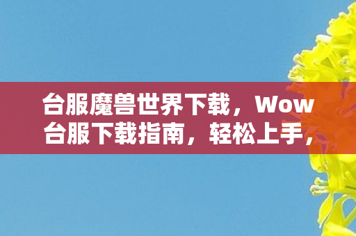 台服魔兽世界下载，Wow台服下载指南，轻松上手，畅游魔兽世界台服