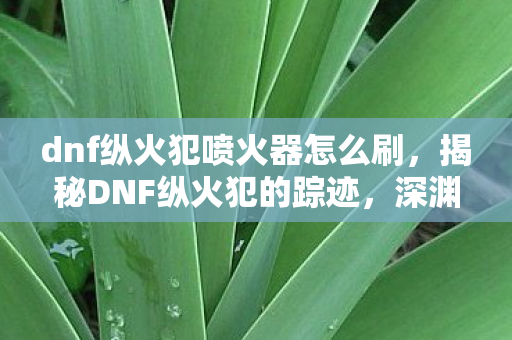 dnf纵火犯喷火器怎么刷,揭秘DNF纵火犯的踪迹,深渊之下的黑暗产业链 dnf纵火犯喷火器怎么刷,揭秘DNF纵火犯的踪迹,深渊之下的黑暗产业链