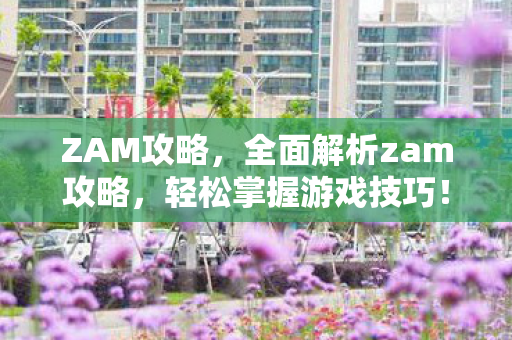ZAM攻略，全面解析zam攻略，轻松掌握游戏技巧！