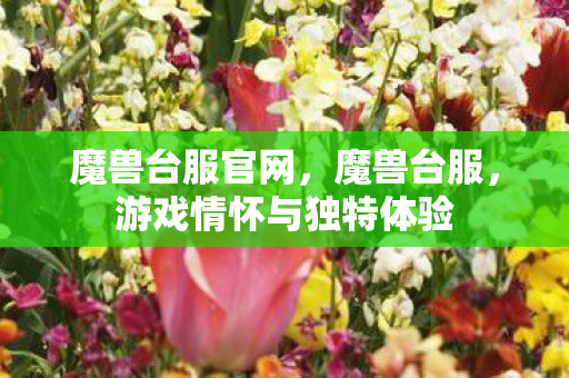 魔兽台服官网,魔兽台服,游戏情怀与独特体验 魔兽台服官网,魔兽台服,游戏情怀与独特体验