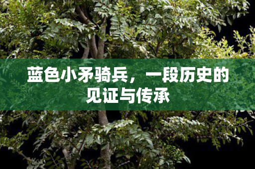 蓝色小矛骑兵,一段历史的见证与传承 蓝色小矛骑兵,一段历史的见证与传承