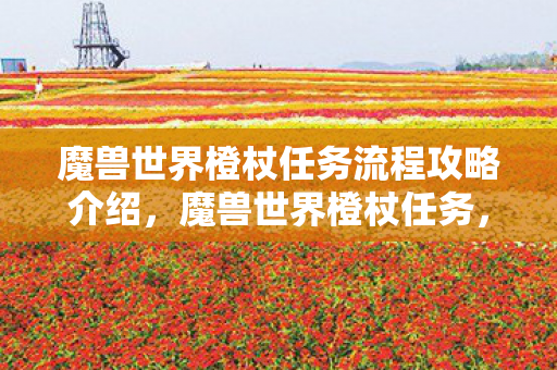 魔兽世界橙杖任务流程攻略介绍，魔兽世界橙杖任务，史诗般的历程与荣耀的见证